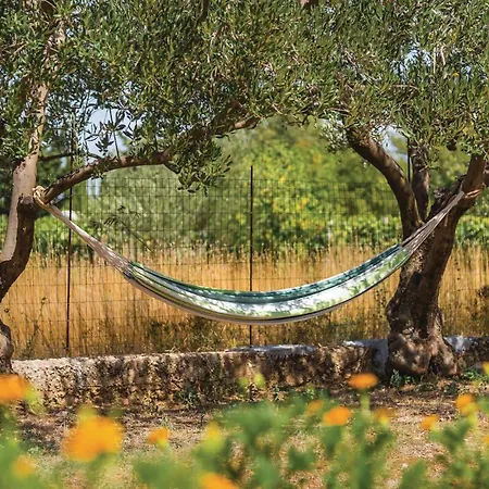 Cozy In Tatil Evi *